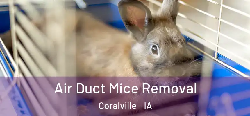  Air Duct Mice Removal Coralville - IA