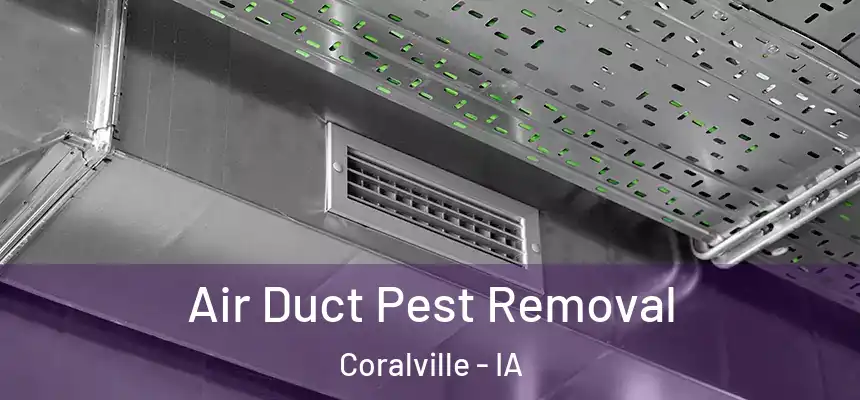  Air Duct Pest Removal Coralville - IA