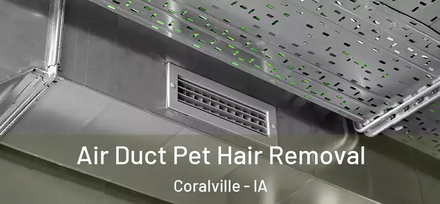 Air Duct Pet Hair Removal Coralville - IA