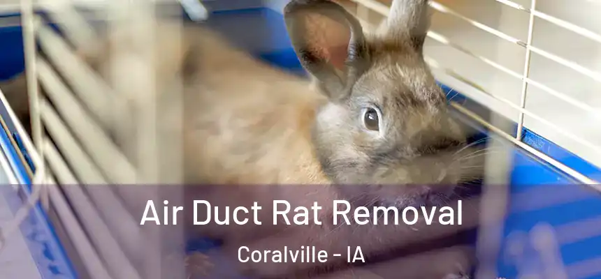  Air Duct Rat Removal Coralville - IA