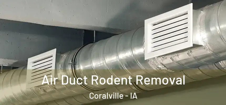 Air Duct Rodent Removal Coralville - IA