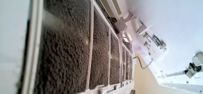 Preventive Air Duct Bacteria Removal in Coralville