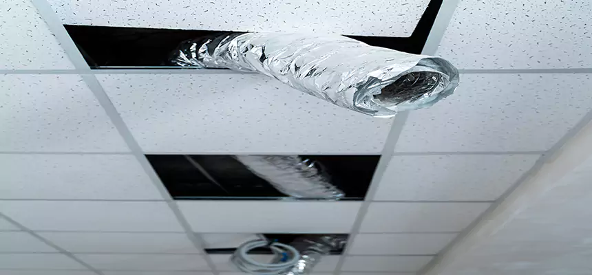 Affordable HVAC Sanitizing After Pest Removal in Coralville