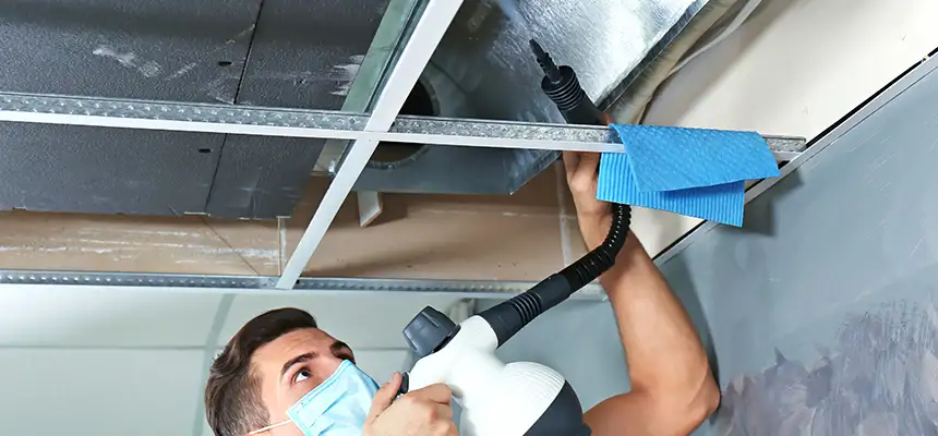 Our Air Duct Rodent Removal Services in Coralville, IA