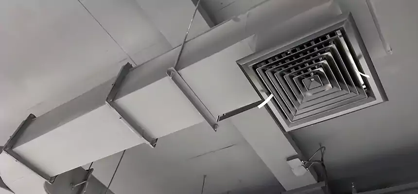 Restorative Allergy Relief Vent Cleaning – Coil, Blower & Housing Detail in Coralville