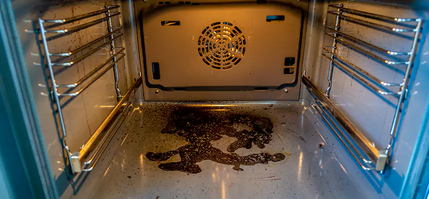 Our Dryer Vent Mold Cleaning Services in Coralville, IA