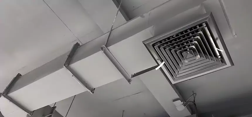 Our Pest Removal From Ducts Services in Coralville, IA