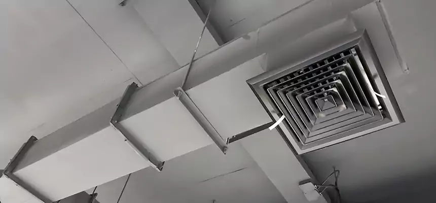 Our Rodent Droppings In Vents Services in Coralville, IA