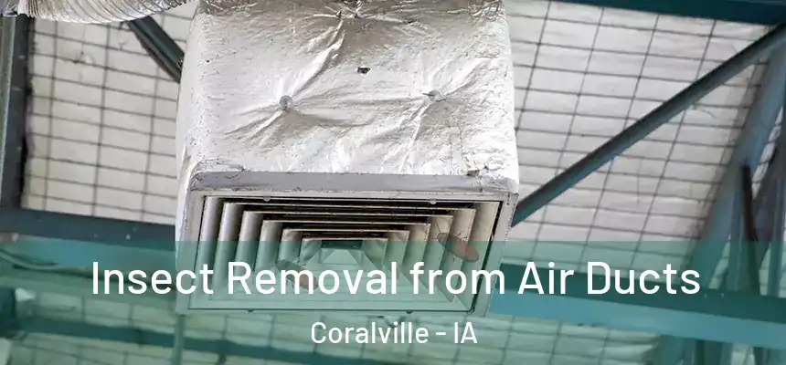  Insect Removal from Air Ducts Coralville - IA