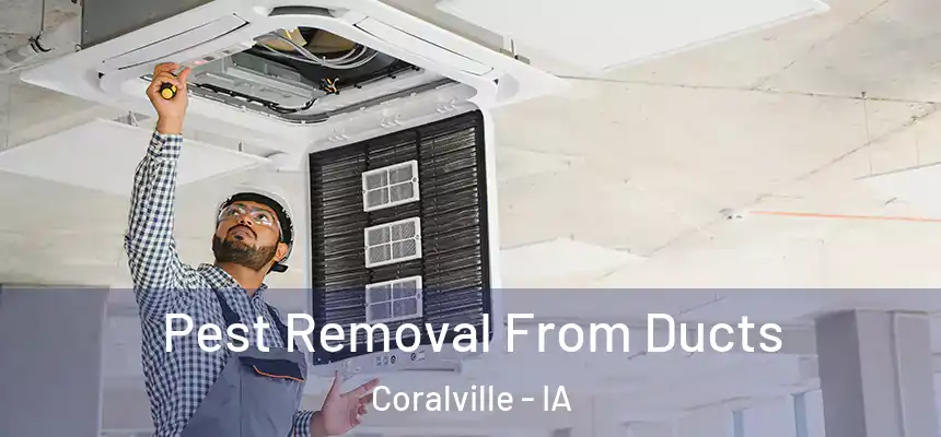  Pest Removal From Ducts Coralville - IA