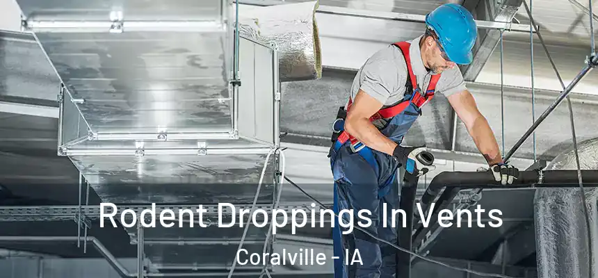  Rodent Droppings In Vents Coralville - IA