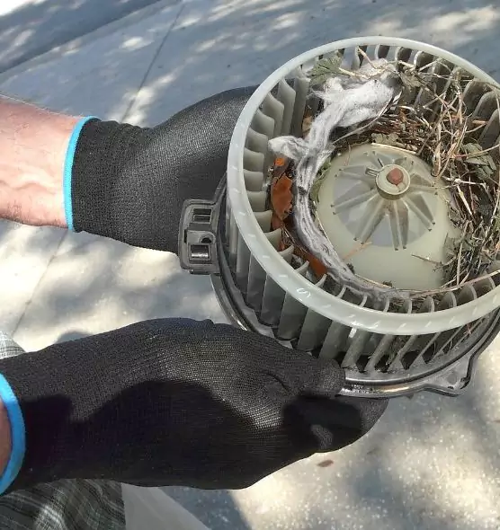 About Air Duct Mice Removal in Coralville, IA