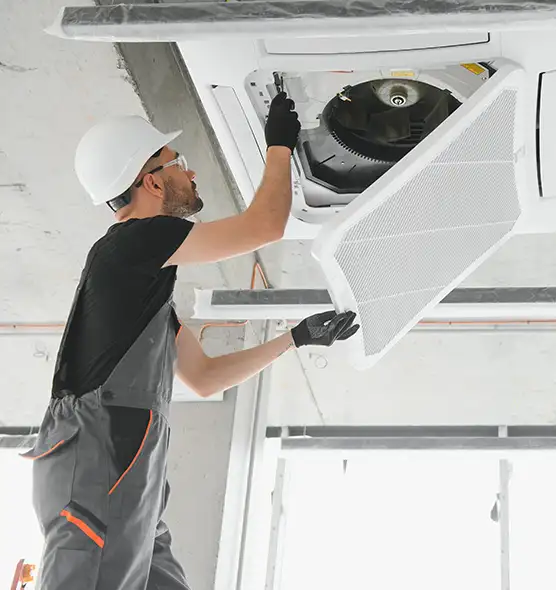 About Air Duct Rodent Removal in Coralville, IA