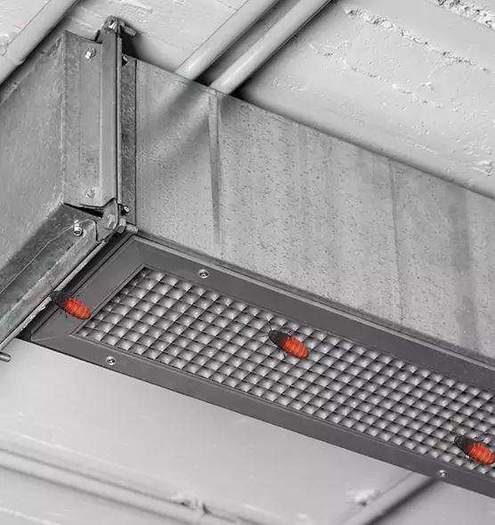 Affordable Insect Removal from Air Ducts in Coralville, IA