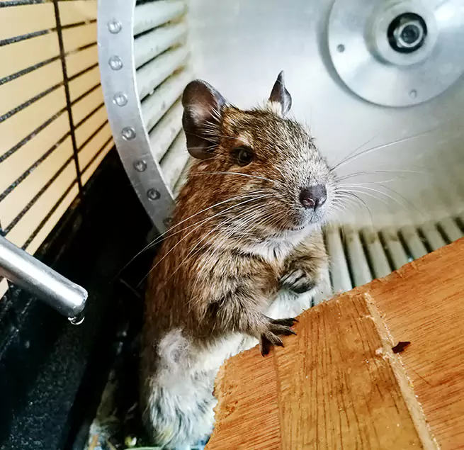 Why Homeowners & Businesses Trust Us Coralville, IA?