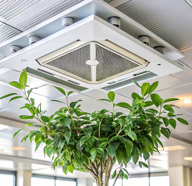 Why Homeowners & Businesses Trust Us in Coralville, IA?