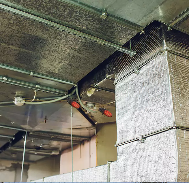 Why Homeowners & Businesses Trust Us Coralville, IA?