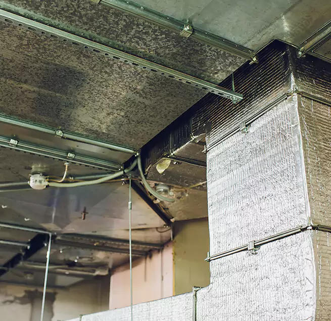 Why Homeowners & Businesses Trust Us in Coralville, IA?